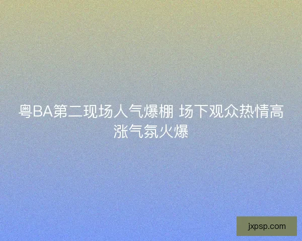 粤BA第二现场人气爆棚 场下观众热情高涨气氛火爆